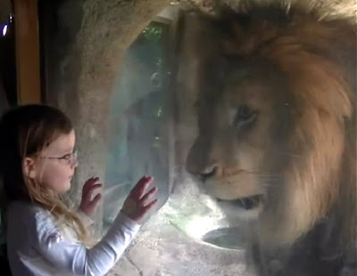 the lion and the girl