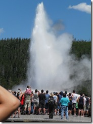 yellowstone ours 26