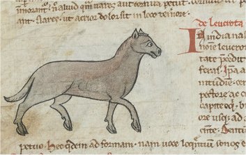 Ilustración medieval de una hiena como un equino.