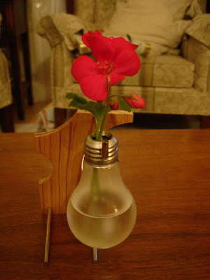 What You Can Do With Old Light Bulbs (30) 19