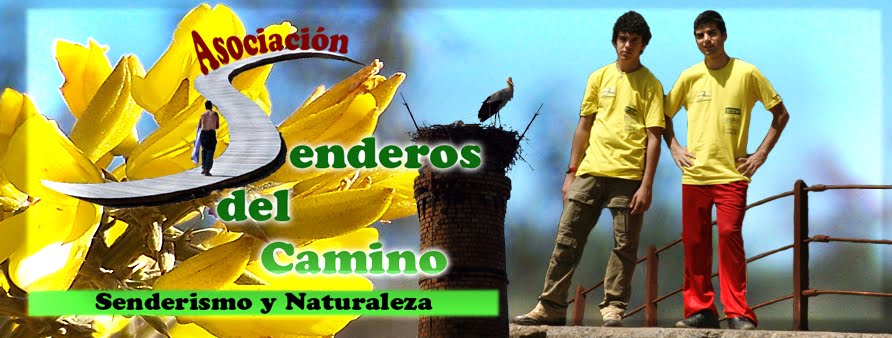 Senderos del Camino