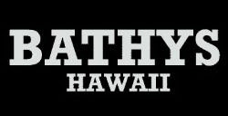 http://www.bathyswatch.com/