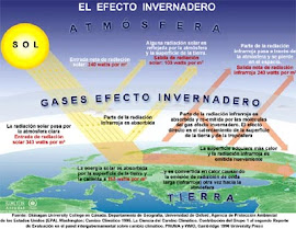 EFECTO INVERNADERO - INTERACTIVO