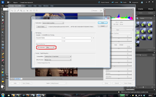 We know it's quite easy and intuitive in  Adobe Camera Raw Dialog of Editor in Adobe Photoshop Elements, but we saw this query on Forums and thought of sharing some information with screenshots. Help of Adobe Photoshop Elements covers most of these things and this blog tries to share information in very casual way with supporting images/Screenshots. Let's check out the way to save raw files as DNG files...As shown in first screenshot, just click on 'Save Image' button in Adobe Camera Raw Dialog of Editor. Below shown dialog will be shown to you where you can mention the location where you want to save new DNG, renaming options & some DNG specific controls