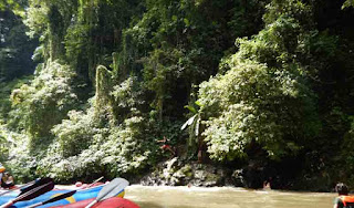 Jump from the rock to the ayung river