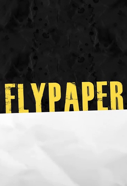 Flypaper 2011 Movie Poster