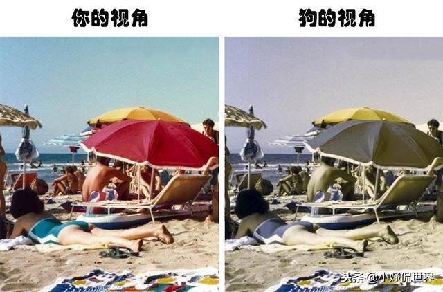 clip_image003