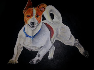Billy the Mischievous Jack Russell Dog Canvas Painting