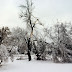 Ice storm in city