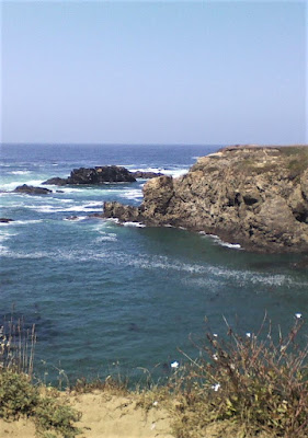 Sonoma coast