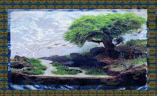Aquascape Tema Bonsai