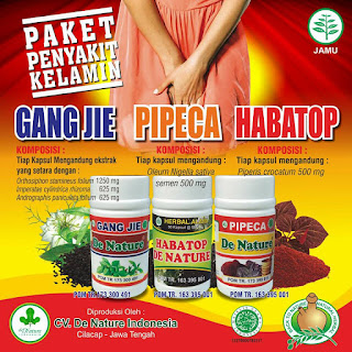 OBAT HERBAL UNTUK BERCAK MERAH PADA KULIT TIDAK GATAL