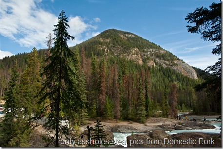 Yoho National Park 4x6-46