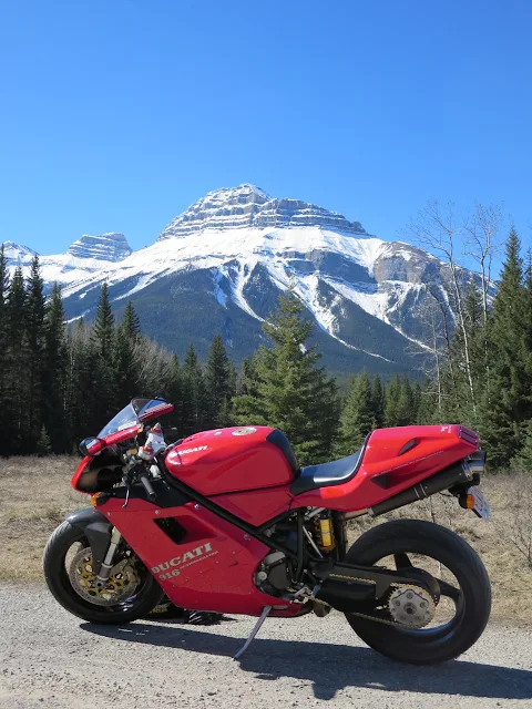 buying a mountain bike guide