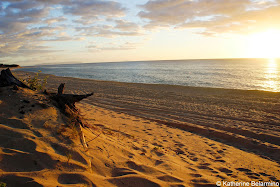 Polihale State Park Sunset 10 Things to Do in Kauai