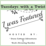 Scratch Made Food! & DIY Homemade Household featured at Tuesdays with a Twist!