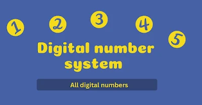 digital number system