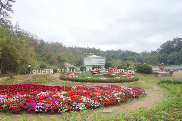 botanic garden, queen sirikit botanic garden, botanic garden chiang mai, chiang mai garden, garden in chiang mai