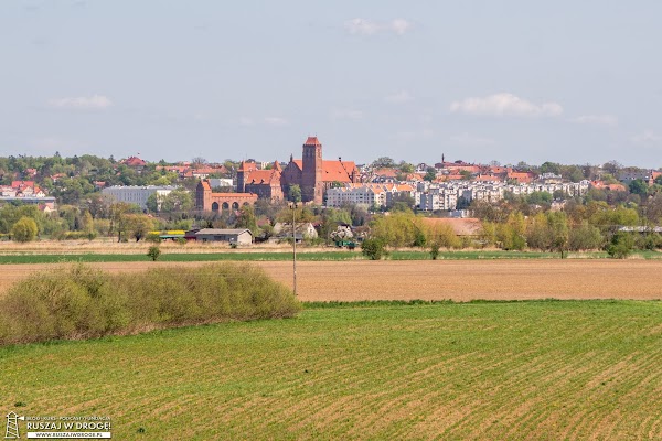 Panorama Kwidzyna zamek i katedra, widok z wału nad Wisłą