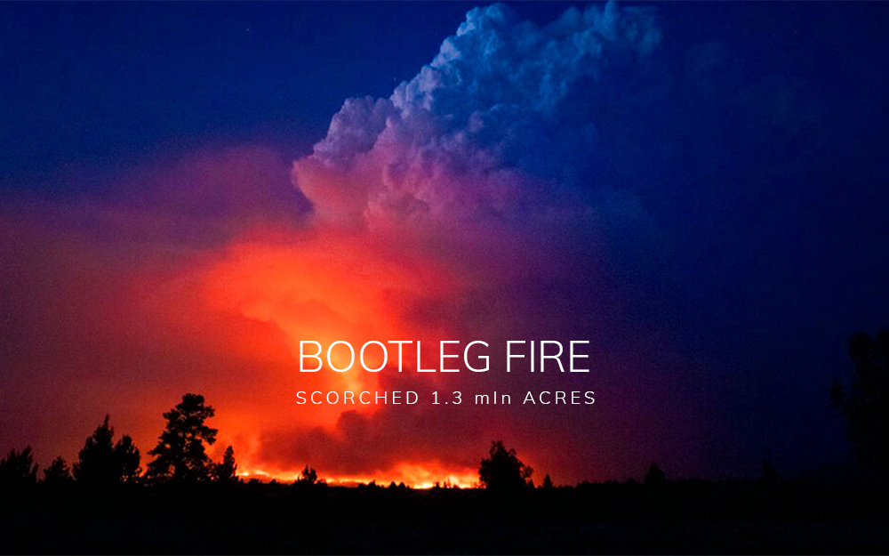 NFT Bootleg Fire