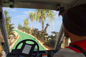 riding golf cart to ocean tower