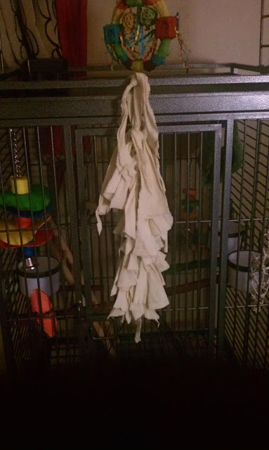 Home Made Bird Toys