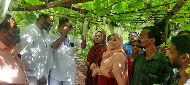 ഞങ്ങളും കൃഷിയിലേക്ക് വിളവെടുപ്പ് ഉദ്ഘാടനം