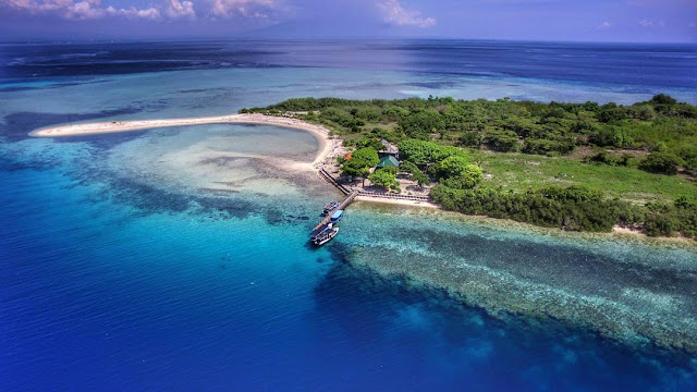  Pulau Menjangan  Spot Diving Paling Keren di Bali Barat