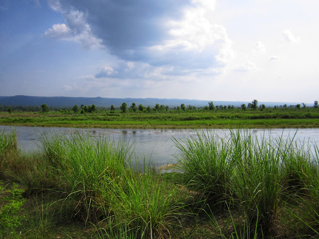 Chitwan landscape