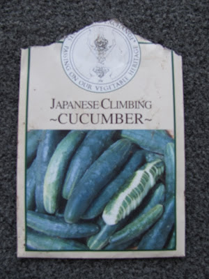 Japanese Climbing Cucumber