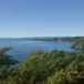 View album