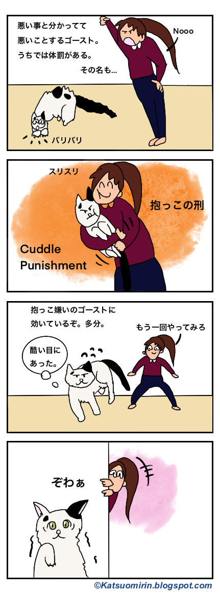 悪さするうちの猫