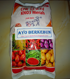 jual pupuk kno3