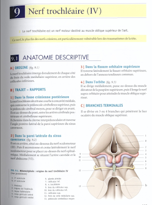 Télécharger Livre Gratuit Nerf Trochléaire IV pdf