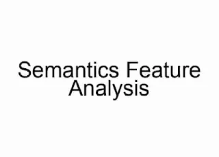 Semantics Feature Analysis