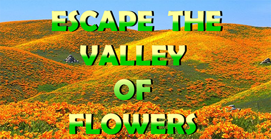 Escape the Valley of Flowers escape juegos