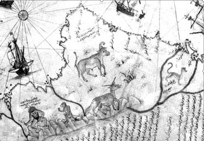 Detail Piri Reis map