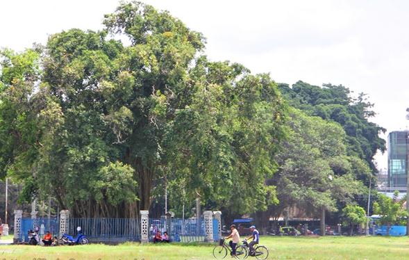 alun alun utara keraton surakarta hadiningrat