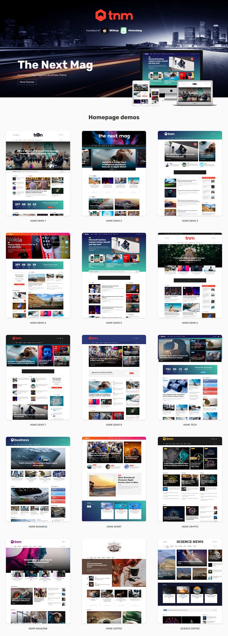 Magazine WordPress Theme