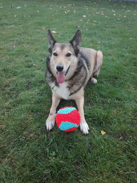 indoor ball