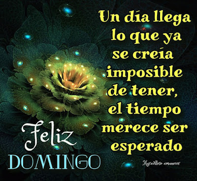 Frases bonitas de feliz domingo