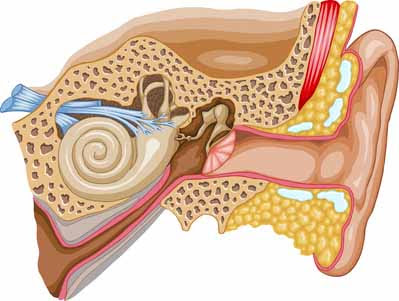 Orta Kulak İltihabı Nasıl Tedavi edilir