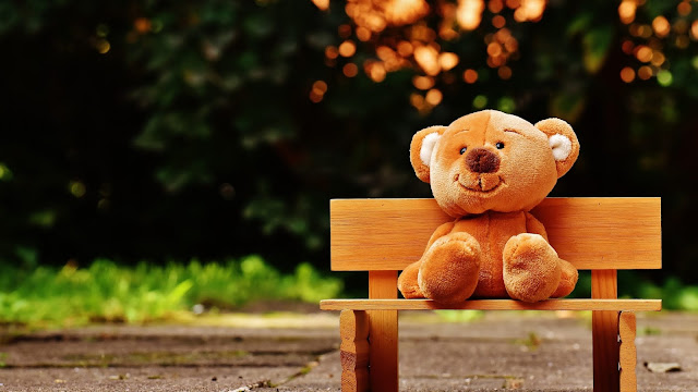 Teddy Bear Park Cute Bench Desktop Wallpaper