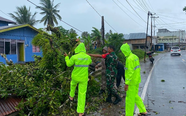 Babinsa M Surya Bantu Mengevakuasi Pohon Tumbang yang Menimpa Rumah Warga