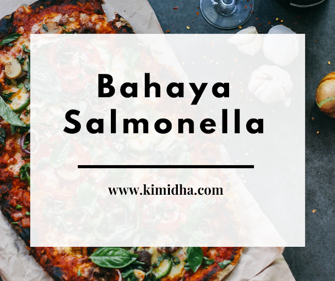 Bahaya Salmonella