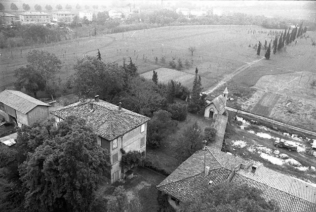 parco-dei-cedri-bologna