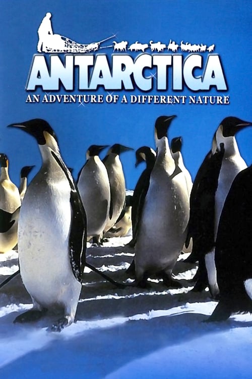 Ver IMAX La Antártida 1991 Pelicula Completa En Español Latino