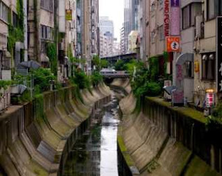 Sistem Drainase pada Sungai Shibuya, Jepang