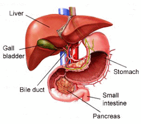 Natural Way Of Living Some Easy Ways To Love Your Liver