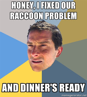 bear grylls racoon